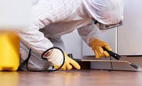 Professional Pest Control in Cayce, SC